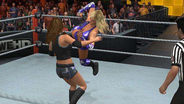 WWE SmackDown vs. Raw 2011 - Platinum (PlayStation 3)