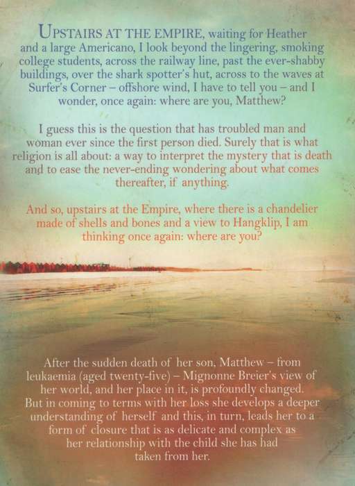 Letters to My Son - Breier, Mignonne