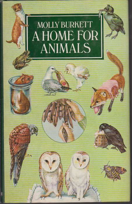 A home for animals - Molly Burkett