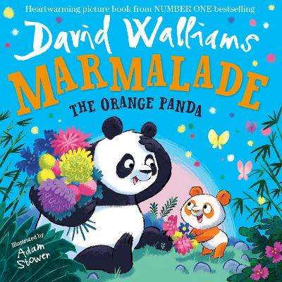 Marmalade: The Orange Panda - David Walliams