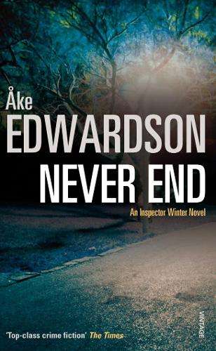 Never End - Ake Edwardson