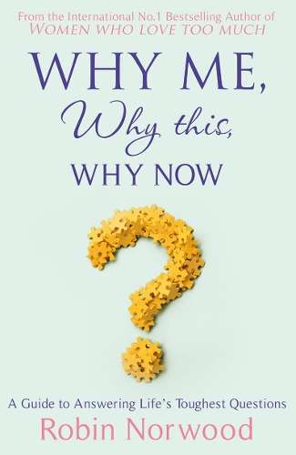 Why Me Why This Why Now? - Robin Norwood