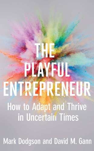 Playful Entrepreneur - N