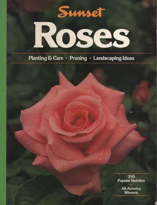 ROSES SC 2H SECONDHAND - SUNSET-EDINGER,P