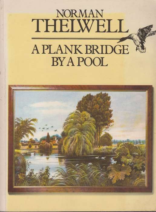 A plank bridge by a pool - Norman Thelwell