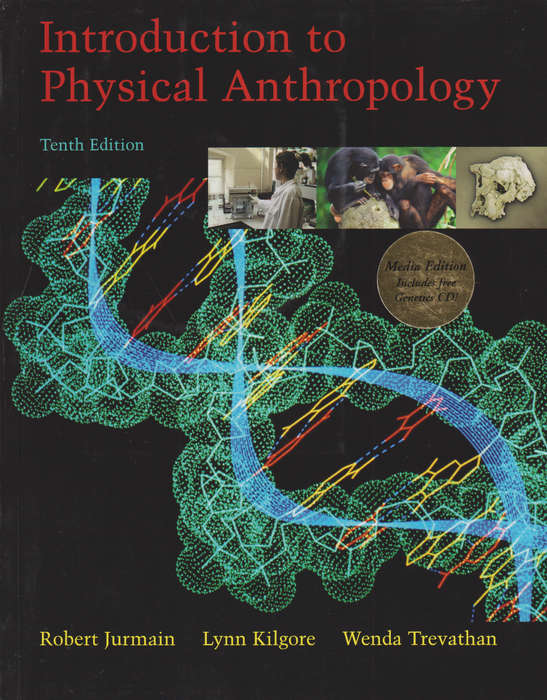 Essentials of Physical Anthropology, second-hand SECONDHAND - Robert Jurmain, Lynn Kilgore - 9780...
