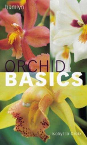 Orchid Basics - Isobyl La Croix