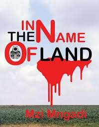 IN THE NAME OF LAND - MNGADI,M
