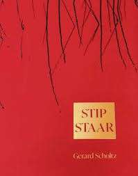 STIP STAAR - SCHOLTZ,G