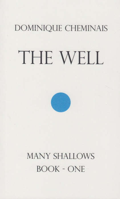 WELL MANY SHADOWS BOOK 1 - CHEMINAIS,D
