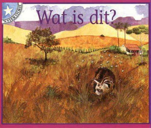 Wat is dit?: Vlak 1: Gr 1: Leesboek - JUTA-STERSTORIES