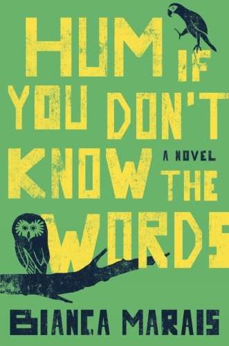 Hum If You Don't Know The Words - Bianca Marais