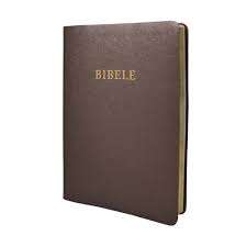 Bible 1909 S/Sotho Medium Size Vinyl Soft Cover: S/Sotho - SOTHOBIBLE