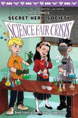 DC COMICS SECRET HERO SOC FOUR SCIENCE FAIR - SCHOLASTIC