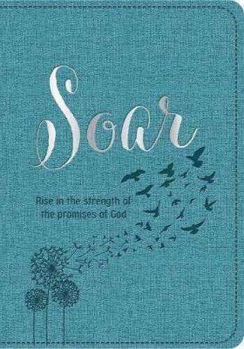Soar - Johan Smit