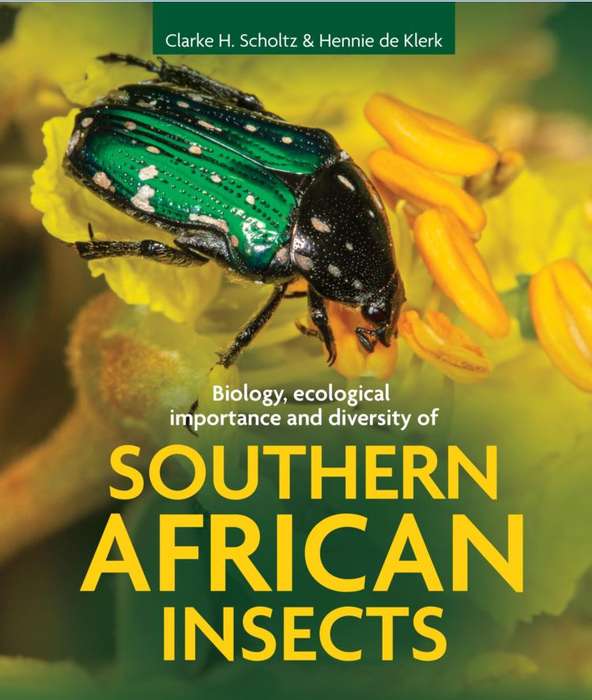 SOUTHERN AFRICAN INSECTS BIO ECO IMPORT - SCHOLTZ,CH