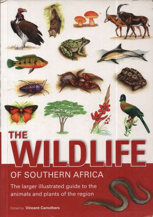 WILDLIFE OF SOUTH AFRICA SC 2H SECONDHAND - CARRUTHERS,V