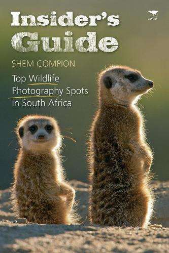 Insider's guide - Shem Compion - 9781770098350