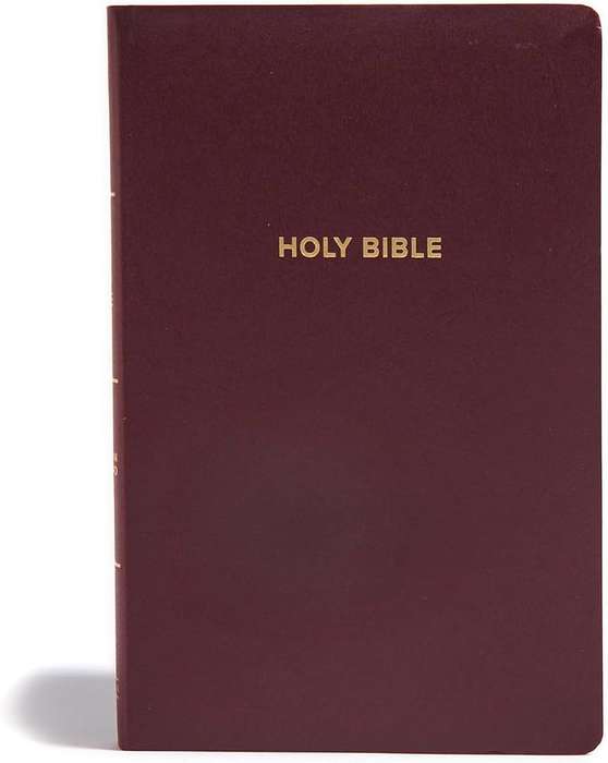 QUICK & EASY READ BIBLE BURGUNDY LEATHER - BIBLE