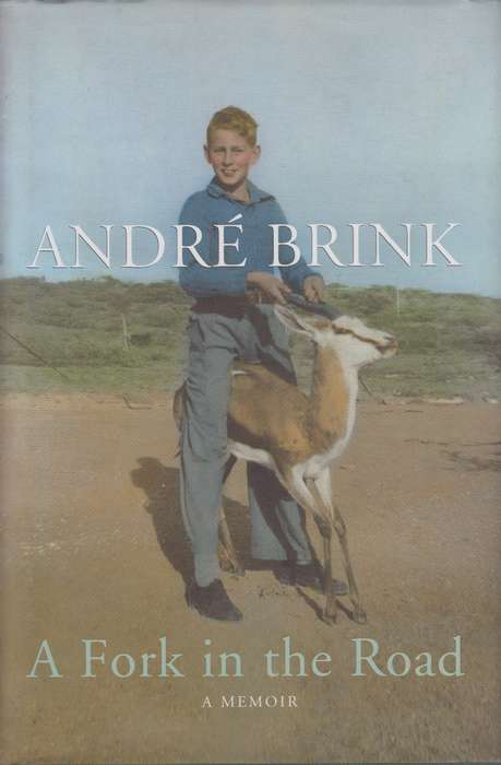 A Fork in the Road - Andre Brink