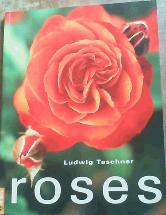 Roses - TASCHNER,L