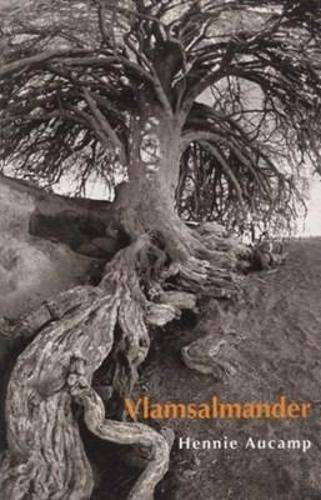 Vlamsalmander - Hennie Aucamp