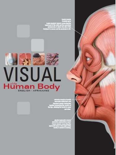 Visual of the human body  - Collectif Quebec-Amerique