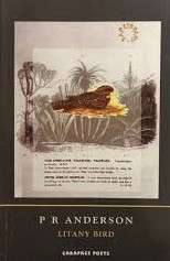 LITANY BIRD - ANDERSON,P