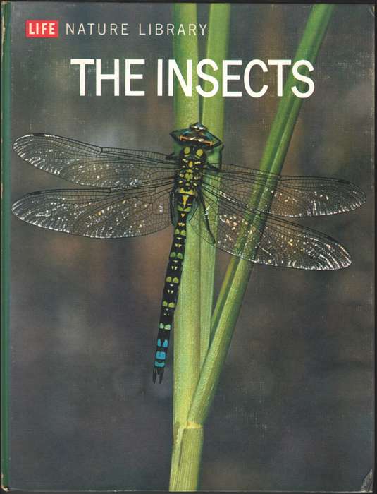 Life Nature Library the Insects - Peter Farb