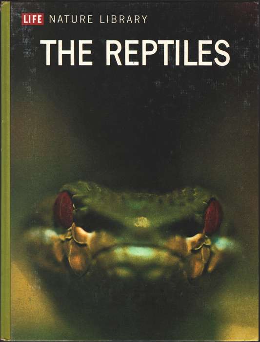 Life Nature Library the Reptiles - Archie Carr