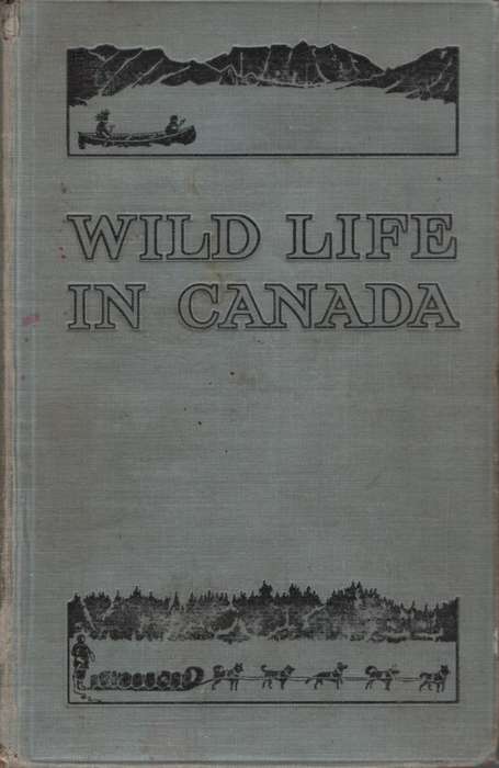 Wild Life in Canada. Second-hand SECONDHAND - Angus Buchanan