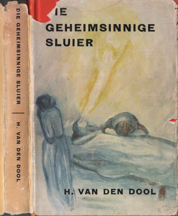 GEHEIMSINNIGE SLUIER HC DJ 2H SECONDHAND - VANDENPOOL,H