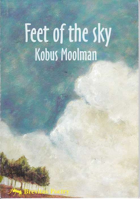 FEET OF THE SKY SECONDHAND - MOOLMAN,K