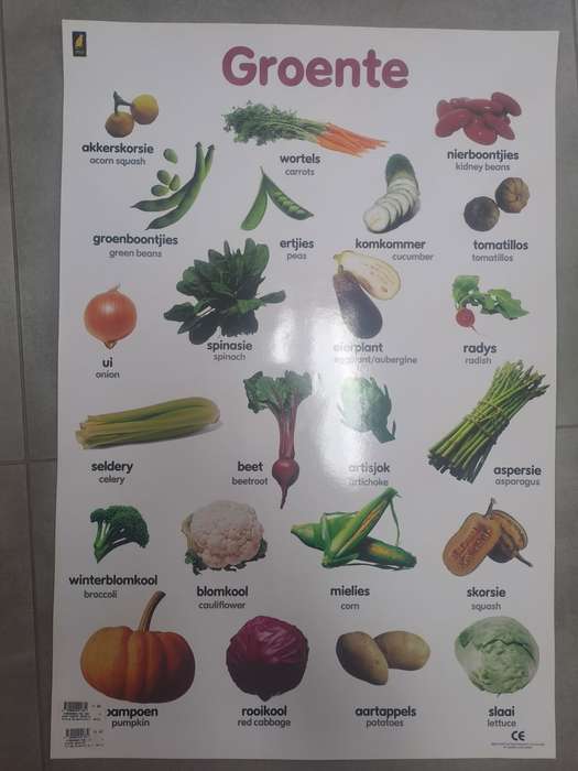 POSTER GROENTE - EDUCAT-IE0855-8