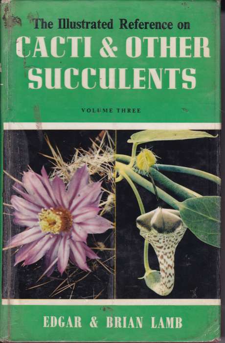 ILLU REF ON CACTI V3 & OTHER SUCCULENTS SECONDHAND - LAMB,E