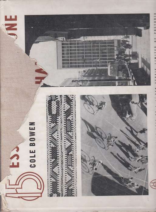 15 ESSAYS IN HALF TONE - CAPETOWN