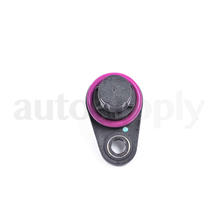 Land Rover NSC000310L - Camshaft Position Sensor