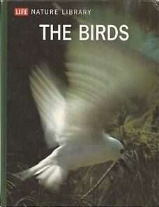 The Birds (Hardcover)