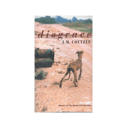 Disgrace Paperback