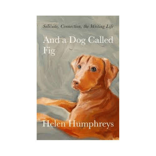 And a Dog Called Fig (Hardcover)