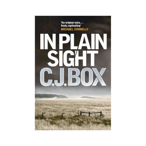 In Plain Sight Paperback