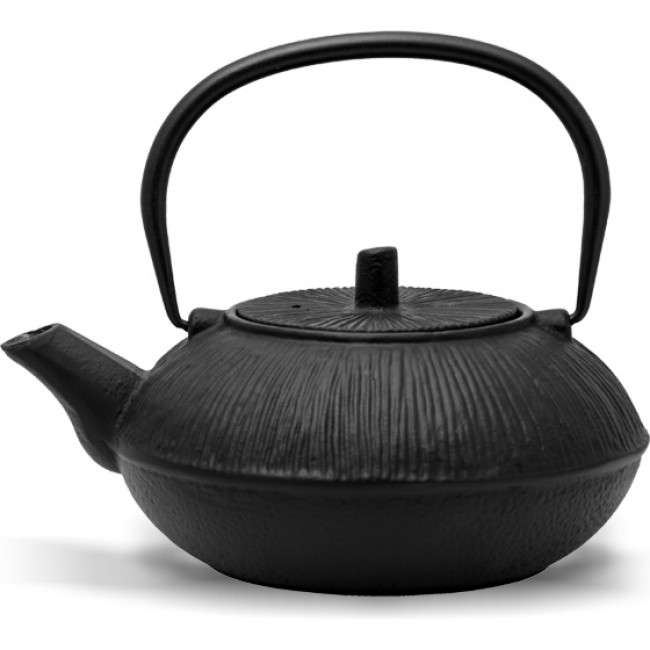 Cast Iron Tetsubin Teapot, 850ml