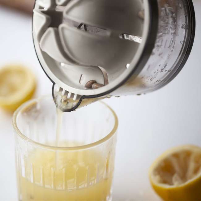 Dual Citrus Juicer