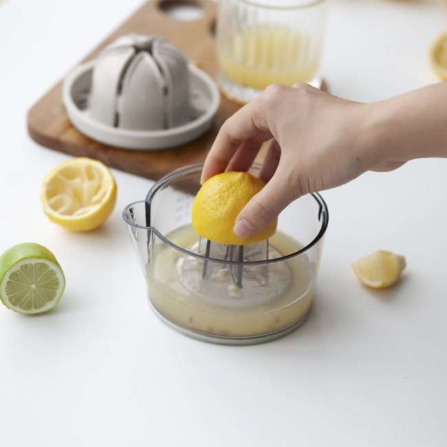 Dual Citrus Juicer