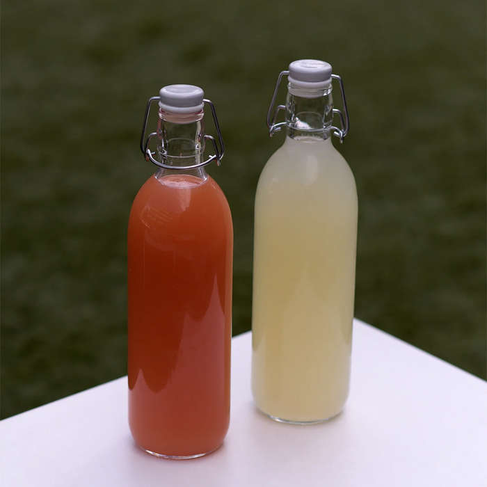 Emilia Bottle With Swing-Top Stopper Lid
