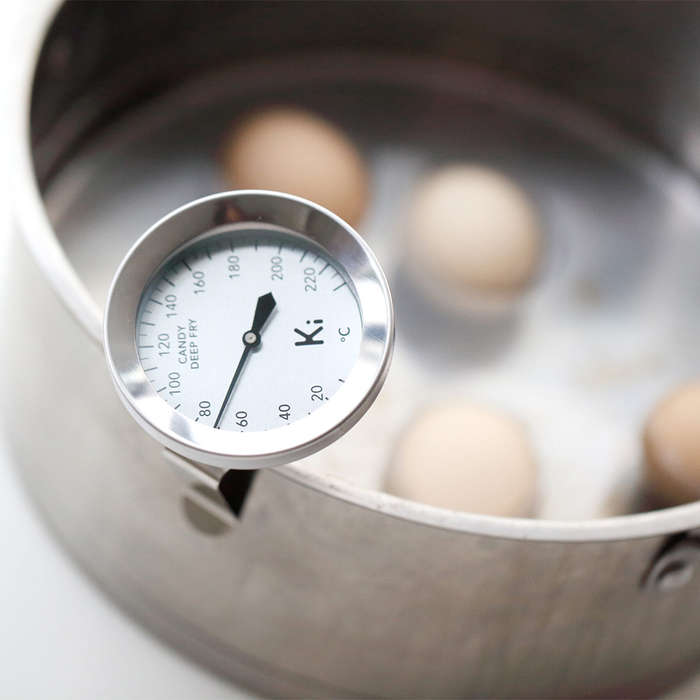 Candy & Meat Thermometer