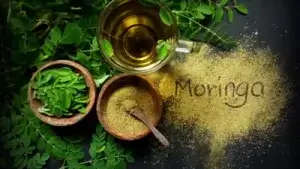 Moringa Oil