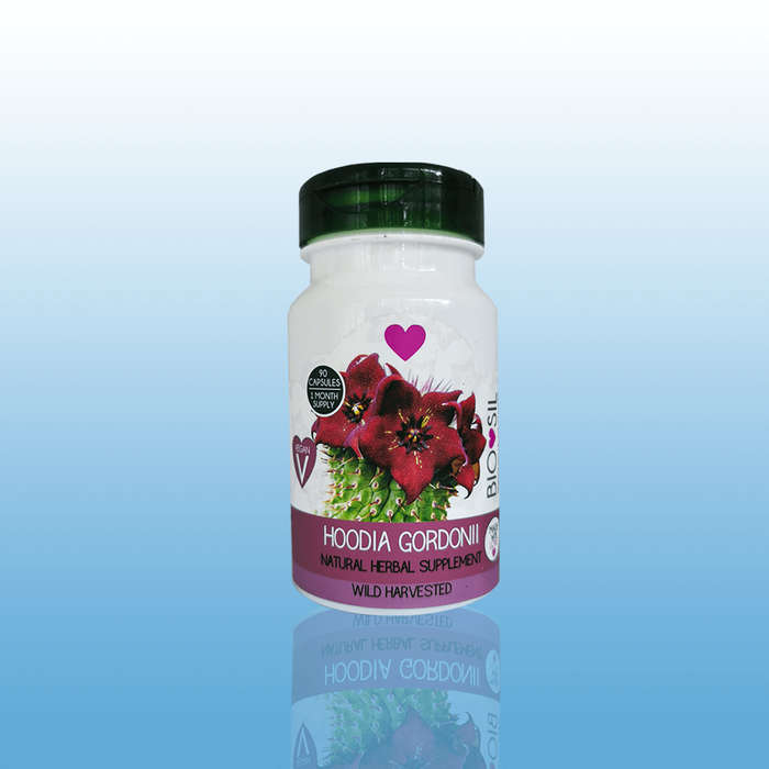 Hoodia Gordonii vegan capsules (90)