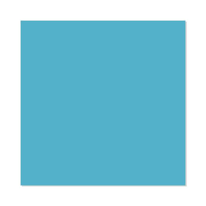 Sky Blue - HTV - Classic PU