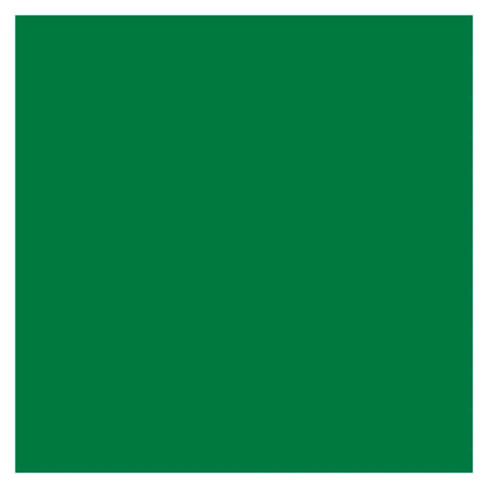 ORACAL® 651 Intermediate Calendered Sign Vinyl Film - Grass Green